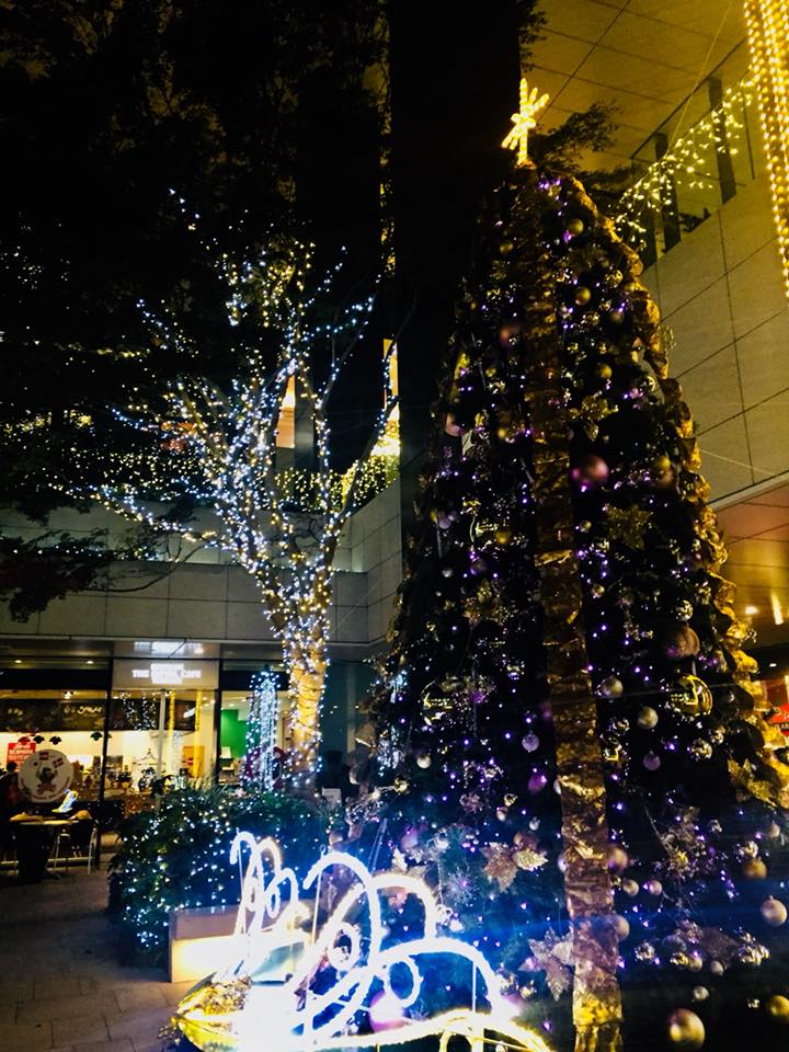 クリスマスツリー